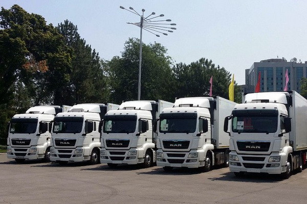 Какое количество грузовых автомобилей принадлежит физическим лицам?