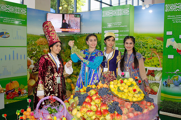 Узбекистан в 2018 году увеличит экспорт плодоовощной продукции до 1,2 млн тонн