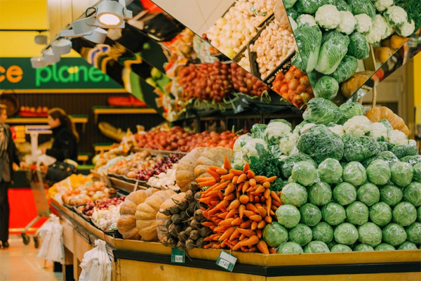 Surkhandarya Region Leads Uzbekistan in Vegetable Production