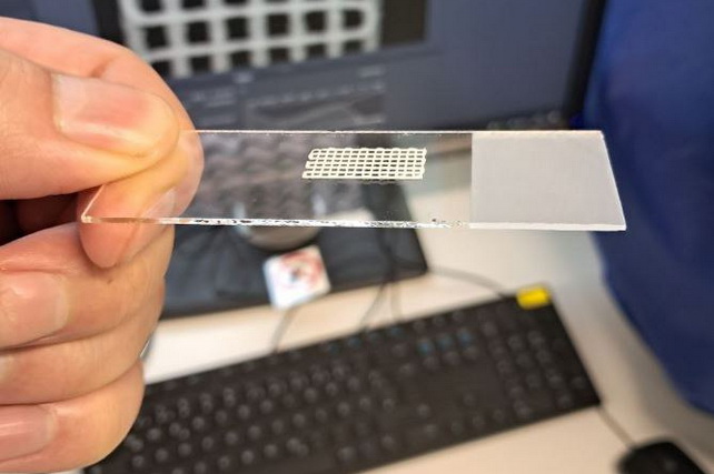 В Узбекистане создаются условия для 3D-печати человеческих органов