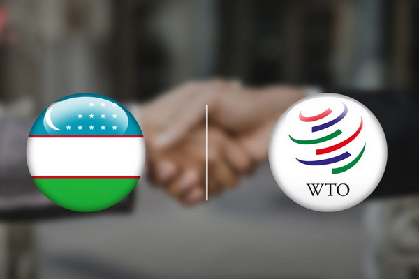 Uzbek MPs Trained on WTO Issues Ahead of Country’s Accession