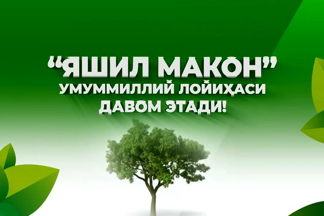 В Узбекистане в 2025 году высадят 200 миллионов деревьев и кустарников