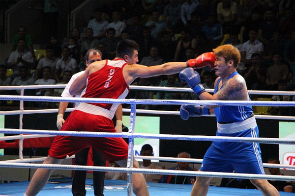 НОК готов создать для  «Uzbek Tigers» все необходимые условия