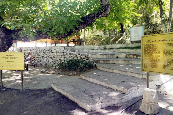 Еще одна село в Кашкадарье превращают в туристическую деревню