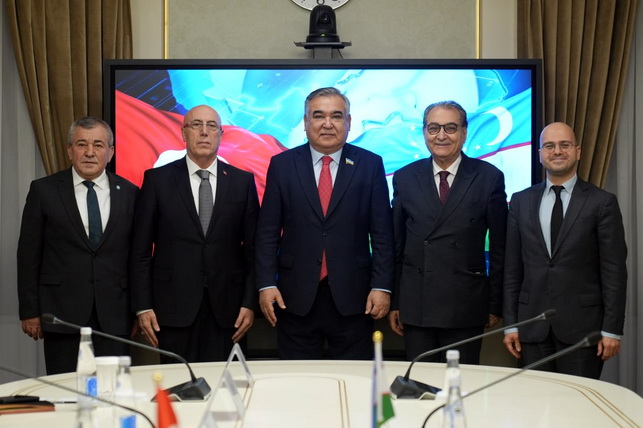 Председатель комитета Сената по международным вопросам встретился с лидером Союза инженеров и архитекторов тюркского мира