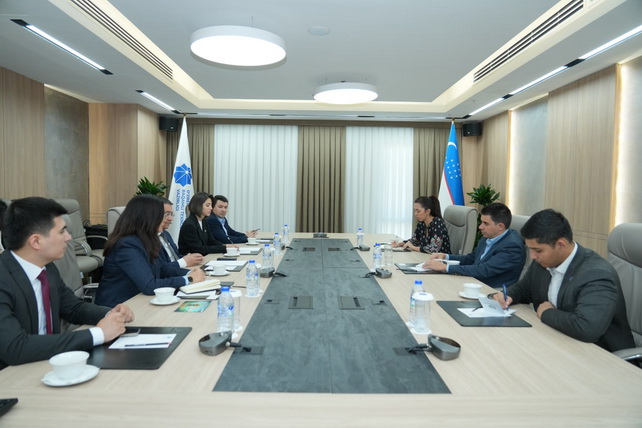 Uzbekistan and the United Nations discuss expanding digital opportunities for youth