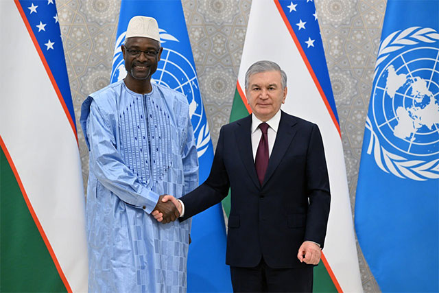 Шавкат Мирзиёев встретился с заместителем Генерального секретаря ООН Ибрахимом Тиау