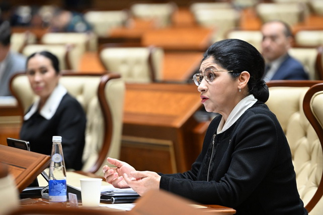 Сенат рассмотрел доклад Омбудсмана за 2025 год