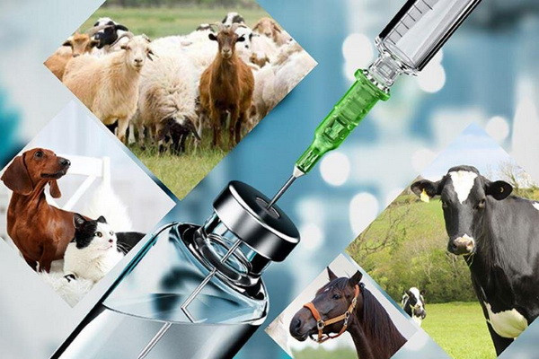 Ветеринария хизматларини хусусийлаштириш керакми?