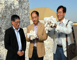 Uzbekistan inks contracts for export of 680,000 tonnes of cotton fiber