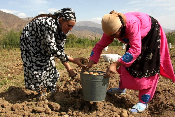 «Региональное сотрудничество имеет жизненно важное значение для решения проблемы изменения климата в Центральной и Западной Азии» - АБР