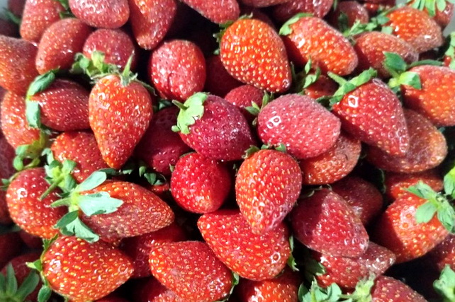 Туракурган наращивает экспорт сельхозпродукции