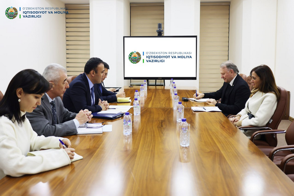 Обсуждены совместные проекты с представителями немецкого банка развития KfW