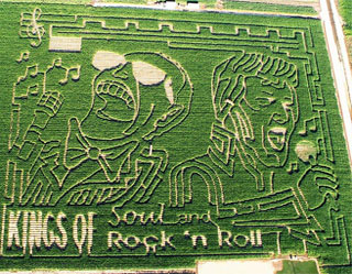 «Кукурузные лабиринты» для привлечения туристских потоков в регион