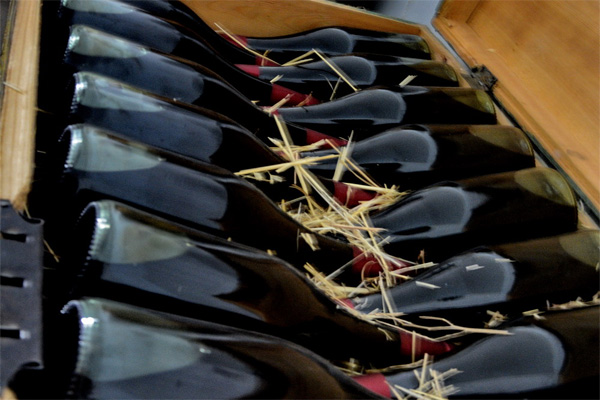 Винный туризм может стать одним из популярных туристических направлений