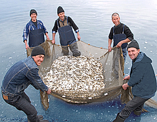 Uzbekistan to create 448 fish farms in 2013