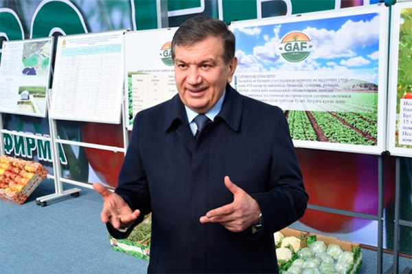 Президент Узбекистана ознакомился с новыми проектами