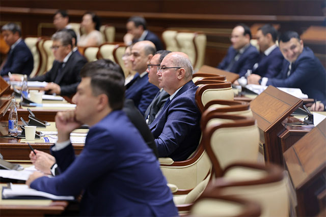 Сенаторы потребовали от ЦБ усилить борьбу с кибермошенничеством и проблемными кредитами