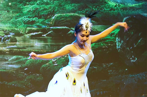 The China-Nepal International New Year Gala was held in Kathmandu (video)