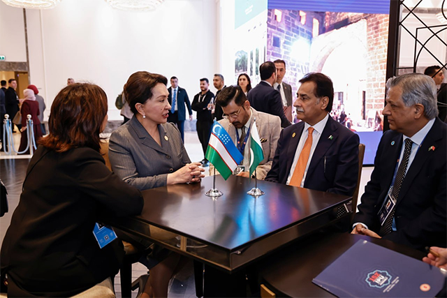 Танзила Нарбаева провела ряд встреч в Стамбуле