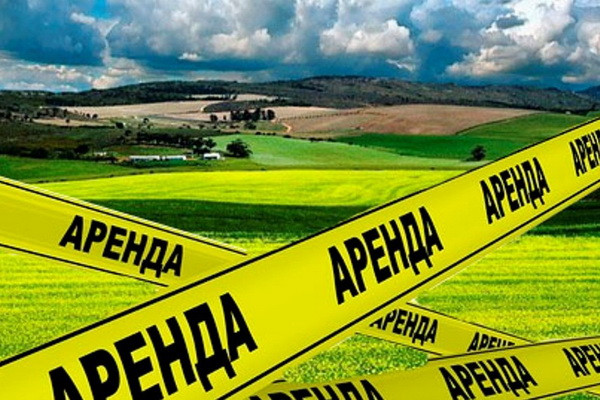 Земли для ведения сельского хозяйства сдаются в аренду населению на 30 лет