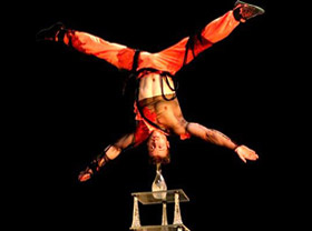 Willy Weldens to perform at Tashkent Circus