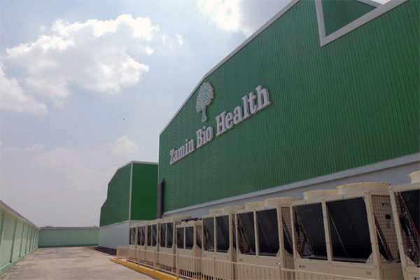 Zamin Bio Health наладила производство инсулина
