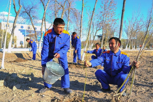 Landscaping and gardening work starts in Tashkent