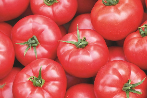 EastFruit: Цены на томаты в Узбекистане обновляют рекорды