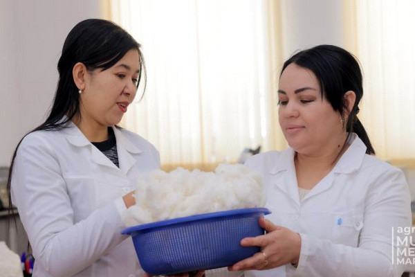 Центр испытаний сортов сельскохозяйственных культур испытывает новые сорта