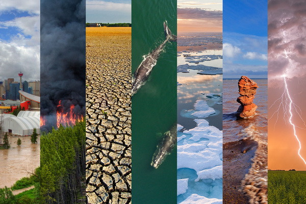 Красный Крест предупредил о катастрофических последствиях изменения климата