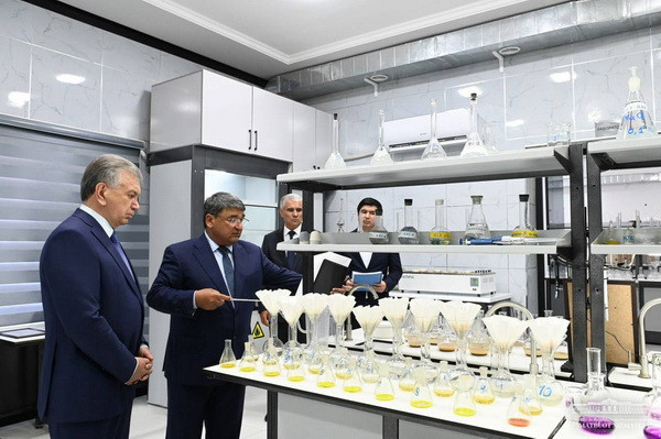 Президент Бухородаги кластер фаолияти билан танишди