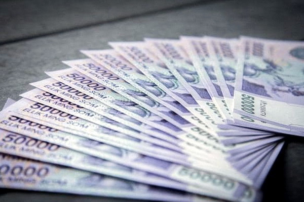 Agros Hayot увеличивает уставный капитал до 47 млрд. сумов