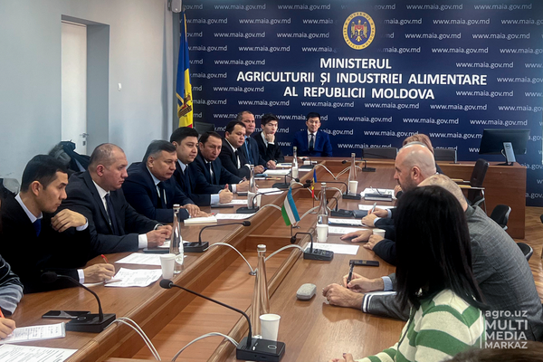 Делегация Узбекистана посетила Молдову для изучения опыта в сельском хозяйстве