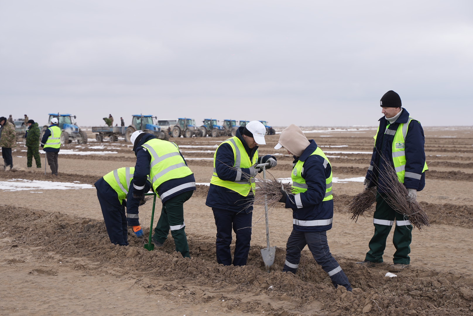 Молодёжь НГМК вносит вклад в экологическую устойчивость региона