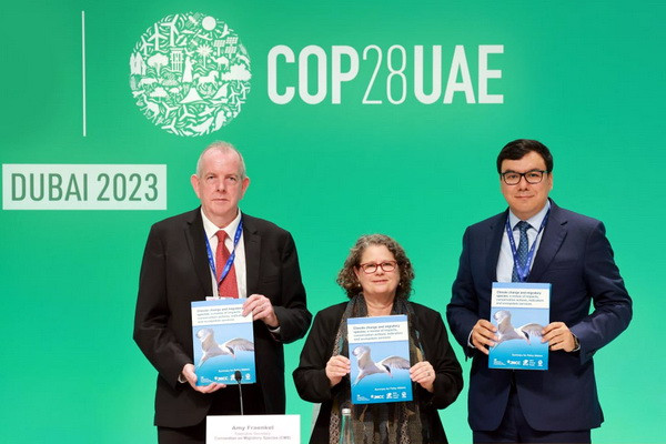 COP28: Изменение климата оказывает негативное воздействие на мигрирующие виды диких животных