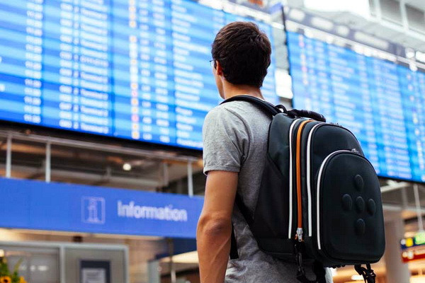 Узбекистан посетили 164,7 тыс. граждан Казахстана