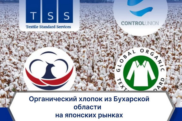 Органический хлопок из Бухарской области представлен на японских рынках