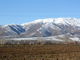 Ecologic Movement of Uzbekistan marks its fifth anniversary