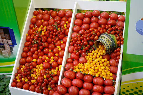 Прогресс в деле улучшения продовольственной безопасности и питания остановился в Европе и Центральной Азии