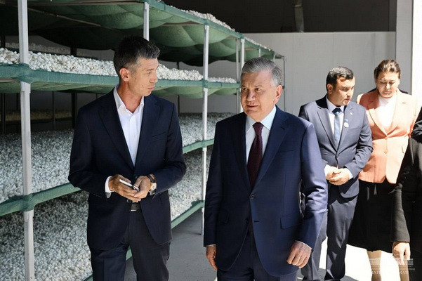 Президент ипакчилик корхонасини кўздан кечирди