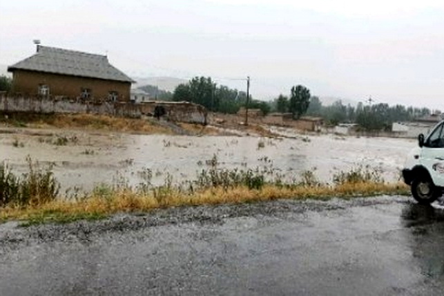 Сель в Зааминском районе: последствия непогоды устраняются, жертв нет