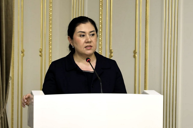 Комитет Сената предварительно рассмотрел доклад Омбудсмана о деятельности в 2025 году