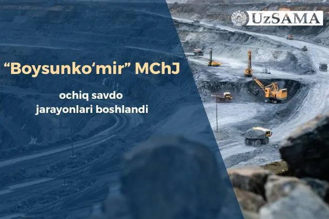 Начался процесс открытых торгов ООО «Бойсункумир»