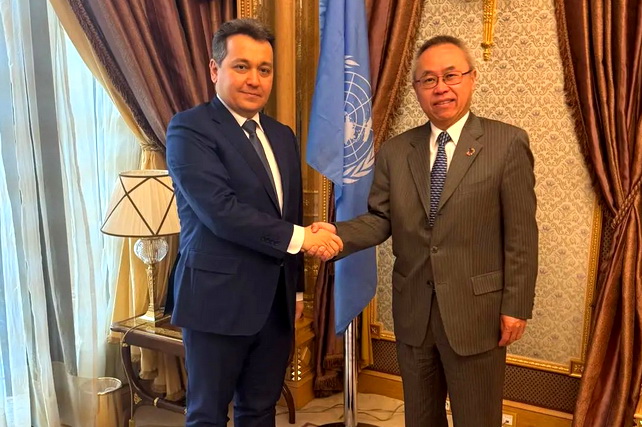 Discussions on expanding long-term cooperation with UNDESA takes place