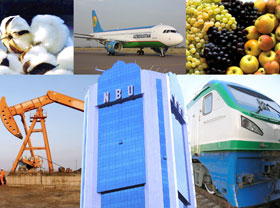 Economic and investment potential of Uzbekistan presented in India