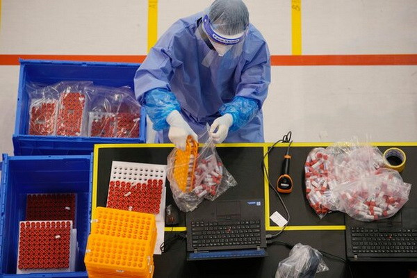 ВОЗ: Оспа обезьян официально объявлена пандемией