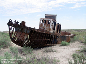 Aral Sea disaster causes sharp rise in diseases in Uzbek northwest - official