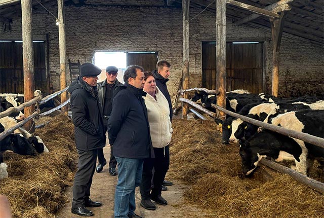 Делегация Узбекистана изучила белорусские животноводческие комплексы в Витебской области