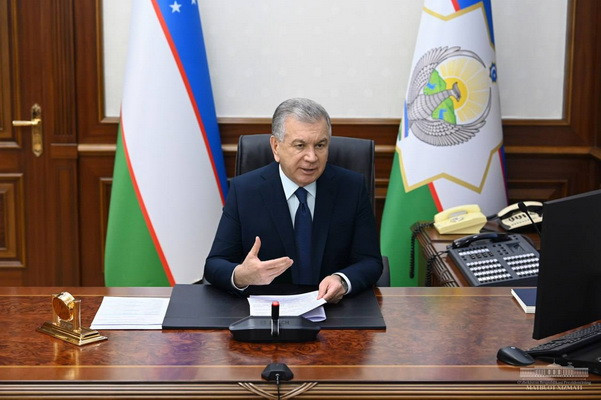 Proposals for the development of e-government considered